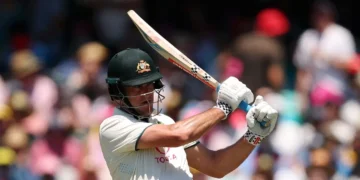 Webster Eyes South Africa Challenge with Problem-Solving Approach